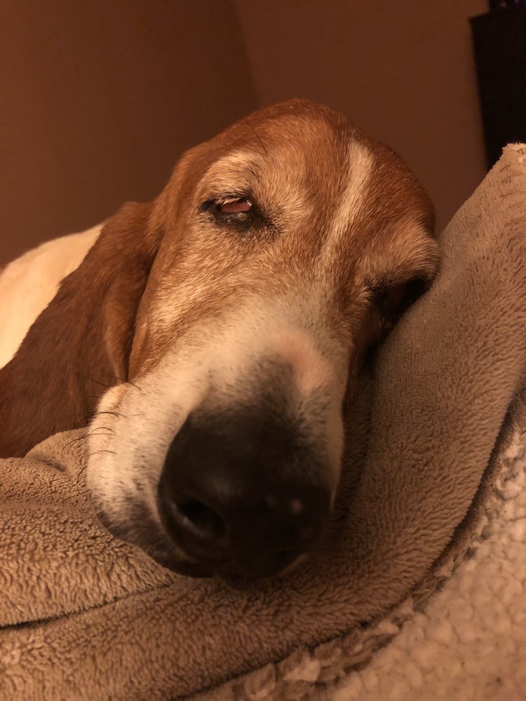 Slide of Millard Plumbing