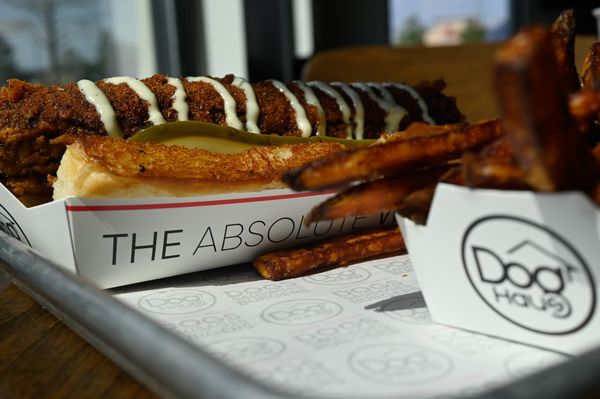 Dog Haus Biergarten by null