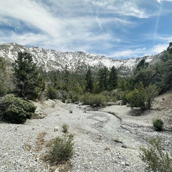 Fletcher Canyon - Hiking Near Me - Las Vegas, Nevada Fletcher Canyon - Hiking Near Me - Las Vegas, Nevada