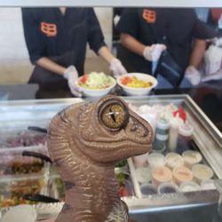 Bombay Burrito - Bob the Raptor says "This is where the nice Mammals put together the Burrito or Bowl Prey."