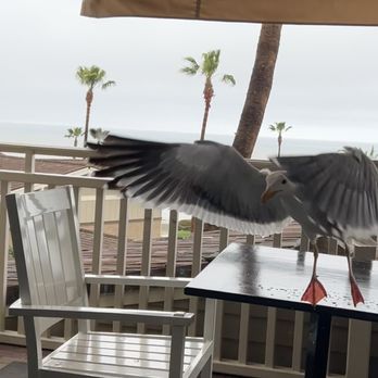 The Loft - New American Near Me - Laguna Beach, California