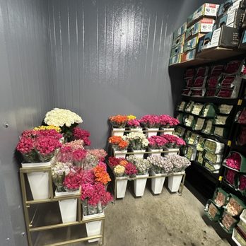 Ecoroses - Selection - Floral Designers Near Me - Glendale, California