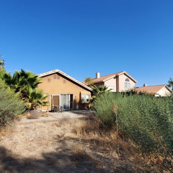 Efrain Tree Services - Messy yard - Tree Services Near Me