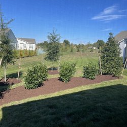 Greenwood Creek Nursery - They really know their business
