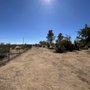 Photo of Mojave Landscaping