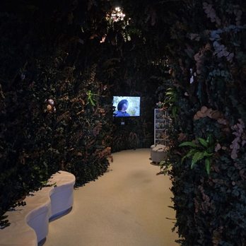 Similandia - Video about the history/culture behind Dr. Simi :) - Toy Stores Near Me - Los Angeles, California