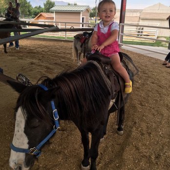 Curiosity Farms - Horse rides! - Farms Near Me - Lehi, Utah Curiosity Farms - Horse rides! - Farms Near Me - Lehi, Utah