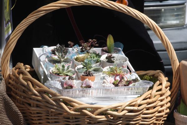 The Everett Farmers Market by null
