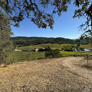 Quintessa Vineyard - Wineries Near Me - St. Helena, California Quintessa Vineyard - Wineries Near Me - St. Helena, California