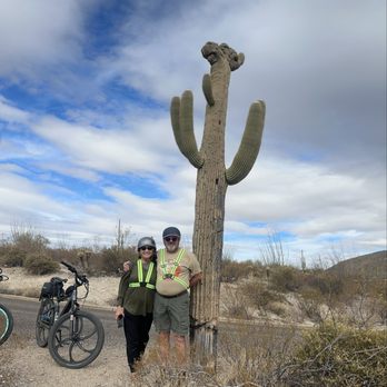 Tucson E-Bike Adventures - A 'crested' or 'christate' saguaro, near the Javelina picnic area in the Park. - Bike tours Near Me - Tucson, Arizona Tucson E-Bike Adventures - A 'crested' or 'christate' saguaro, near the Javelina picnic area in the Park. - Bike tours Near Me - Tucson, Arizona