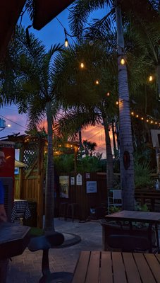 The Patio Tampa by null