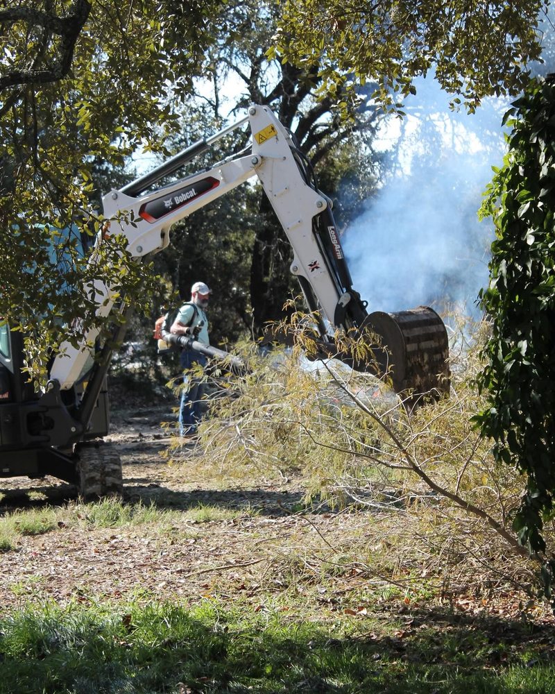 FORGED TREE SERVICE - Updated June 2026 - 10 Photos - San Antonio ...