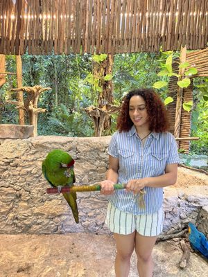 Croco Cun Zoo by null