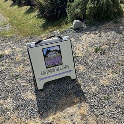 Lavender Hill Farm