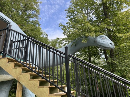 Dinosaur Gardens by null