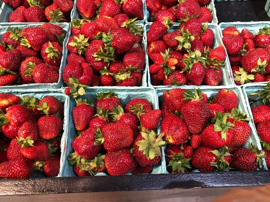 Halteman Family Meats by null