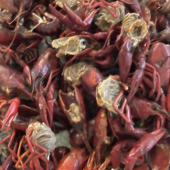 Mo City Crawfish - Seafood Near Me - Missouri City, Texas Mo City Crawfish - Seafood Near Me - Missouri City, Texas