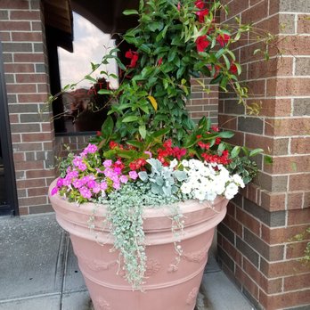 Charbonos - Nice flowers at entrance - Italian Near Me - Avon, Indiana