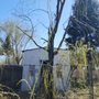 Photo of Rubio's Lawn Services