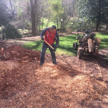 Tree Care Marietta - Tree Services Near Me Tree Care Marietta - Tree Services Near Me