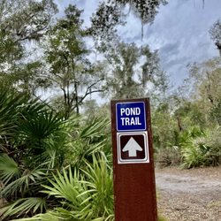 Betz-Tiger Point Preserve