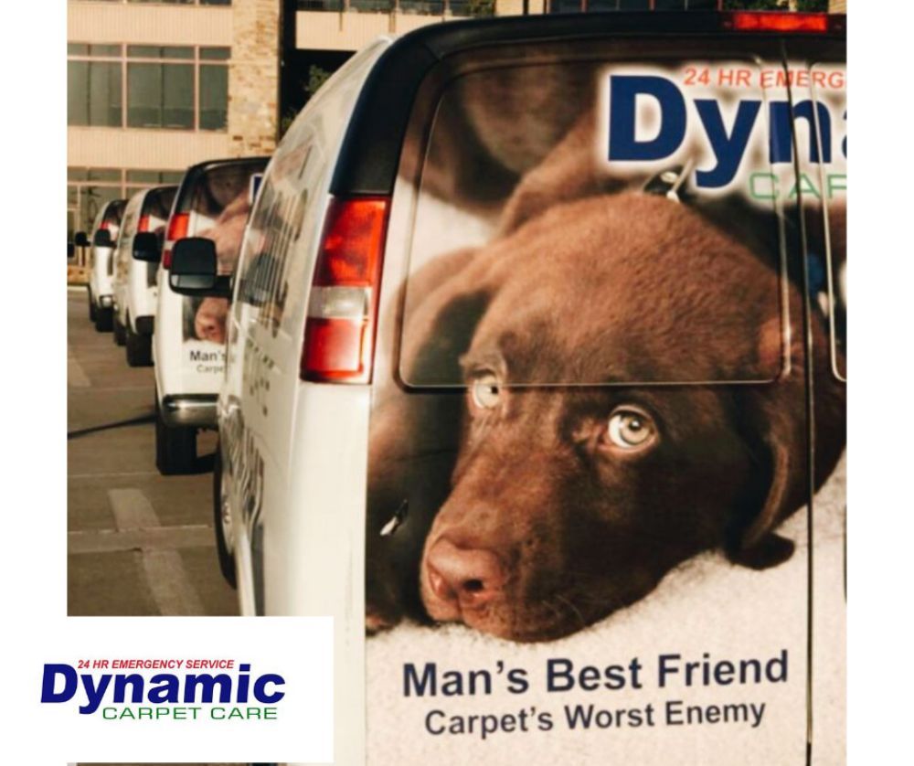 DYNAMIC CARPET CARE Updated September 2024 Columbia, Missouri Carpet Cleaning Phone