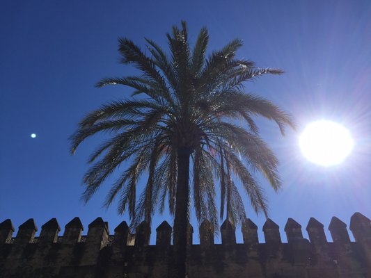 Alcázar de los Reyes Cristianos by null