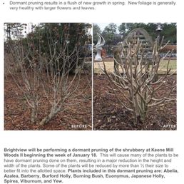 The flyer that they craft does not have the same plants??? The flyer that they craft does not have the same plants??? 
