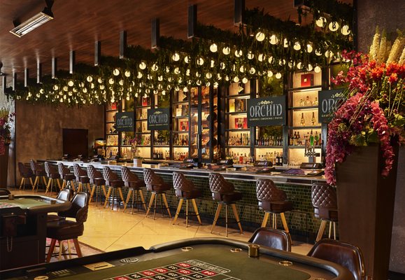 Orchid Gaming & Smoking Patio by null