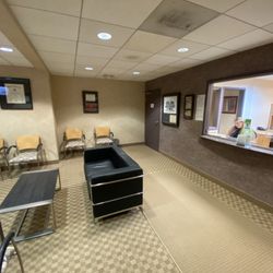 Endodontics Limited