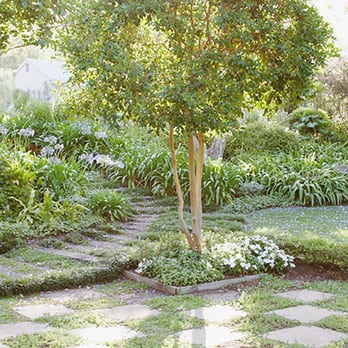 B&B Tree Management - Tree Services Near Me - Sevierville, Tennessee
