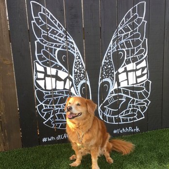 Fetch Park - My dog letting her wings spread - Dog Parks Near Me - Atlanta, Georgia