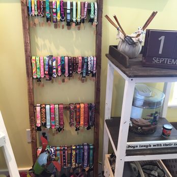 Everything's Irie Doggie Salon - Need a collar. Yep, they got them, too. - Pet Groomers Near Me - Pensacola, Florida Everything's Irie Doggie Salon - Need a collar. Yep, they got them, too. - Pet Groomers Near Me - Pensacola, Florida