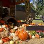 Photo of Vincek Farm