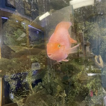 Pet's & Such - Pet Stores Near Me - Salt Lake City, Utah