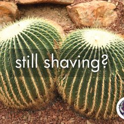 Snake Charmer Men's Body Waxing