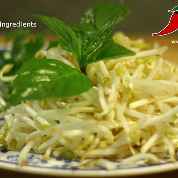 Spicy Garden Restaurant - Fresh sprouts and herbs for pho noodle soups - Vietnamese Near Me - Saskatoon, Saskatchewan