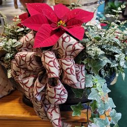 Jacksonville Florist & Gifts - Christmas Poinsettia with a mixture of diffenert plants in nice container & bow