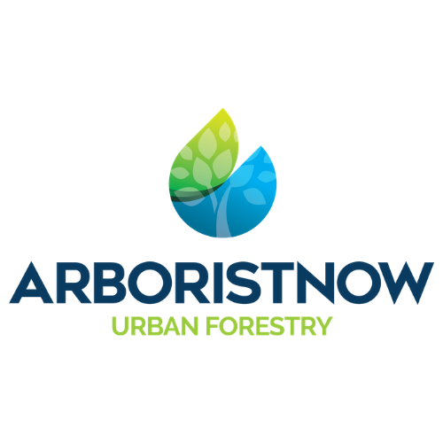 Arborist Now - tree service in San Francisco, CA