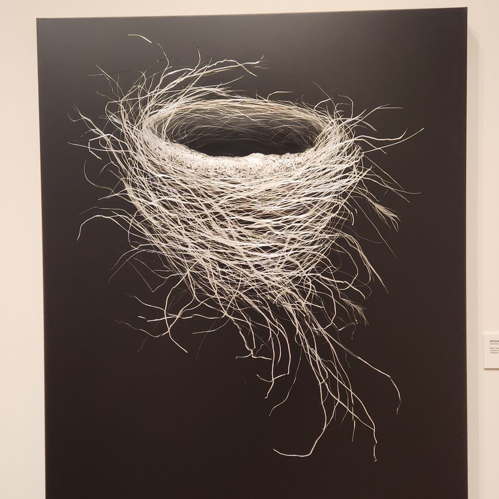 Cameron Art Museum - Art Museums Near Me - Wilmington, North Carolina Cameron Art Museum - Art Museums Near Me - Wilmington, North Carolina