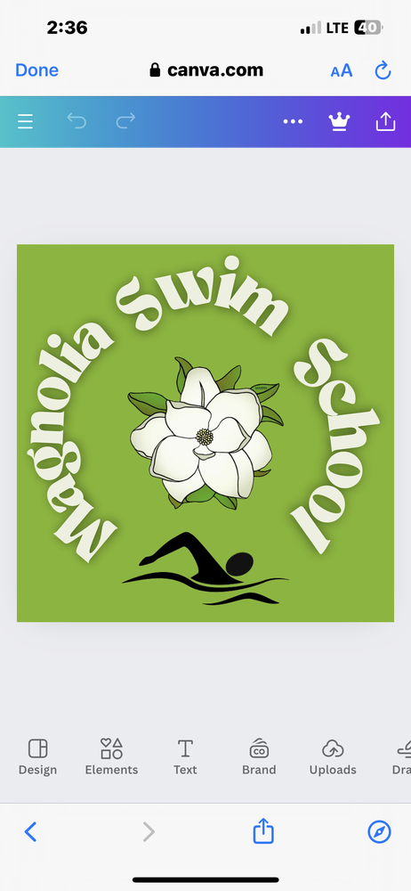 Magnolia Swim School Logo