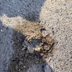 Real Help Decorative Concrete