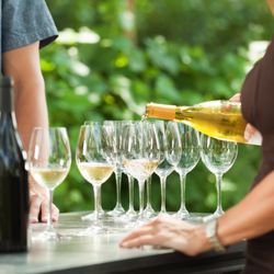 Mantra India - Catering at winery