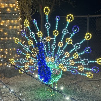 Zoolights - Zoos Near Me - Phoenix, Arizona