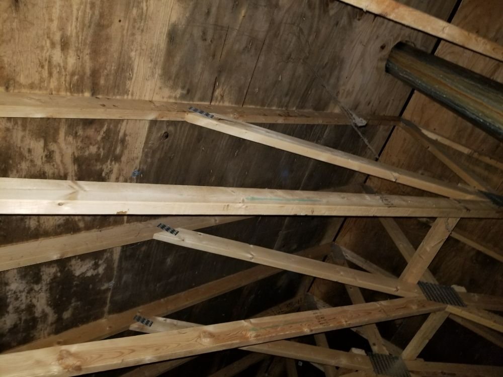 Norway Hill Home Inspections - mold inspector in Hancock, NH