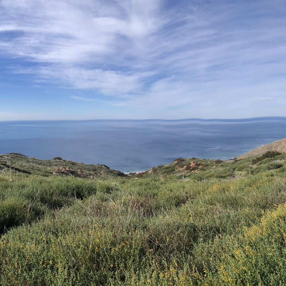 Charmlee Wilderness Park - Parks Near Me - Malibu, California