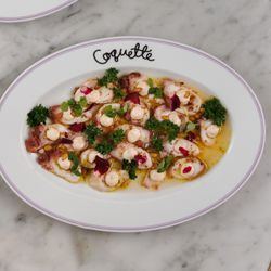 Coquette - Octopus Carpaccio

citrus vinaigrette, harissa yogurt, tunisian five spice, lemon oil, pine nuts & rose