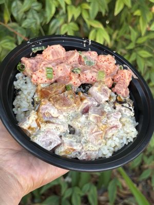 Gilligans Poke Shop by null