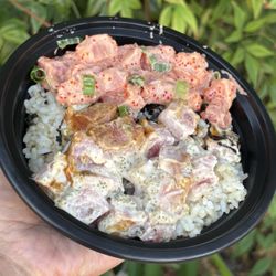 Gilligans Poke Shop - Spicy & Wasabl Poke bowl with brown rice and furikake.