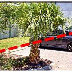 Strall's Automotive